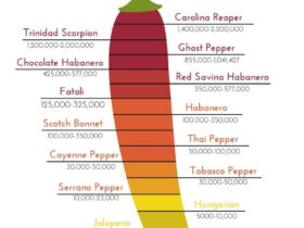 Thai Chili Pepper Scoville Rating