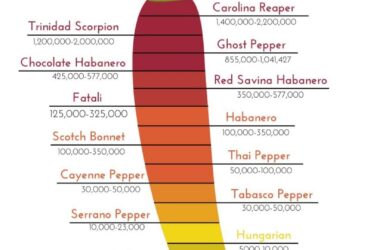 Thai Chili Pepper Scoville Rating