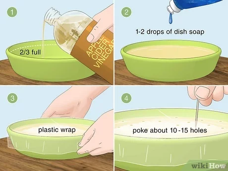 How To Get Rid Of Small Flies In House: Quick Solutions!
