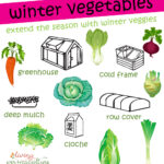 Veggies To Plant For Winter