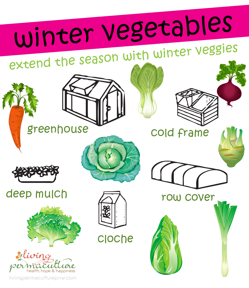 Veggies To Plant For Winter