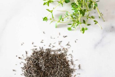 What Does Thyme Look Like