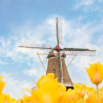 Windmill Island Holland Michigan A Breathtaking Escape