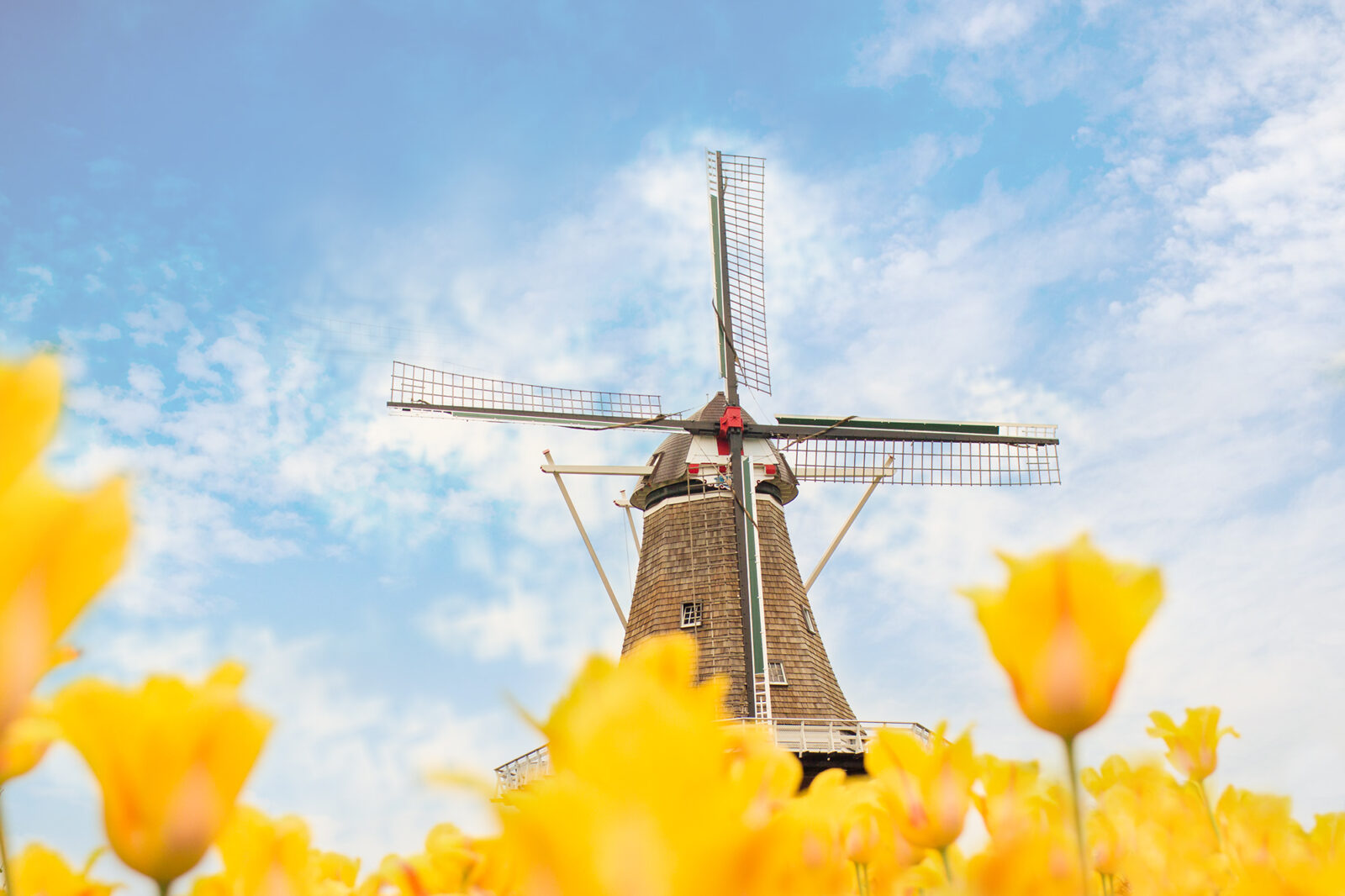 Windmill Island Holland Michigan A Breathtaking Escape